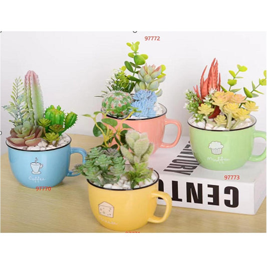 Artificial Cactus in Cafe-Style Cartoon Coffee Cup
