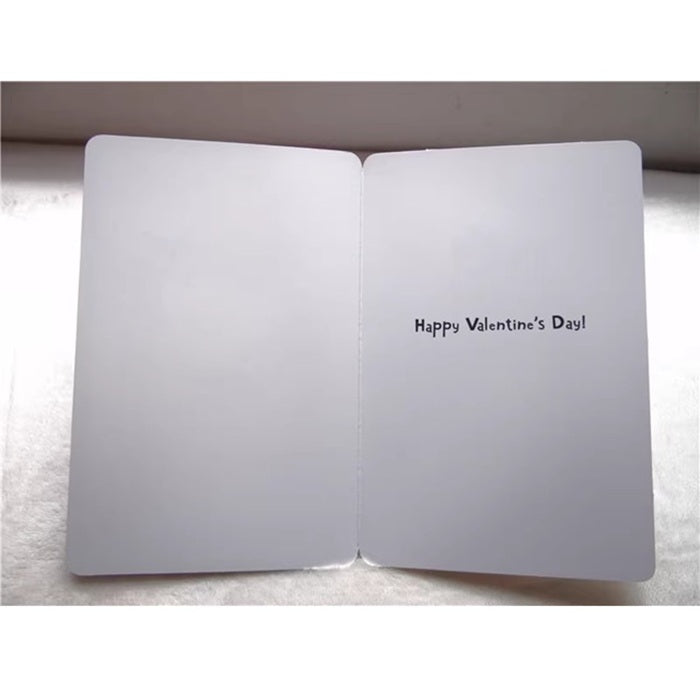GC-3175 Secret Admirer Valentines Greeting Card