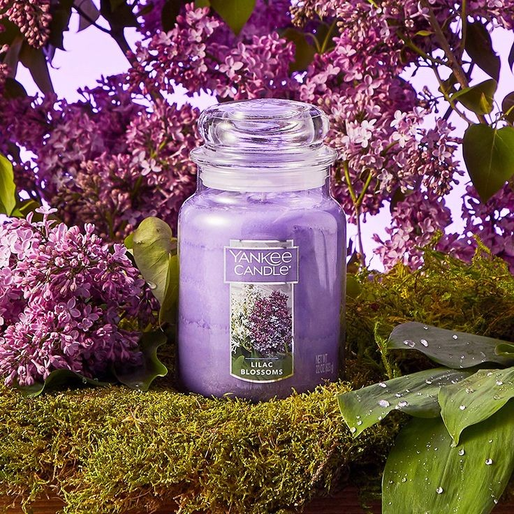 Lilac Blossom Classic Large Jar Candle 623gms
