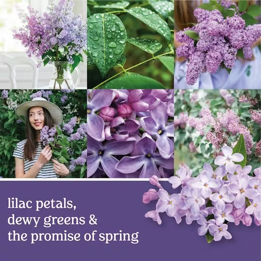Lilac Blossom Classic Large Jar Candle 623gms