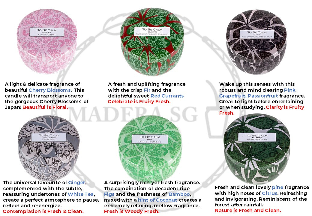 Traveller's Journey - White Tea & Ginger - Mini Soy Candle 120gms
