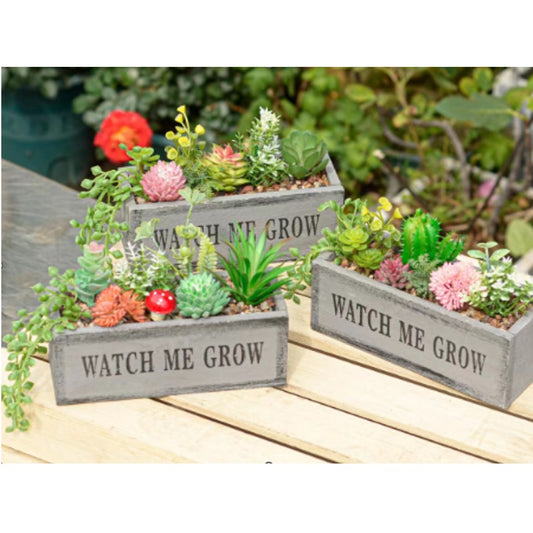 Artificial Cactus in Rectangular Wooden Garden Pot