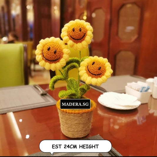 Madera Sg Crochet 3 Sunflower in Pot Smiley C