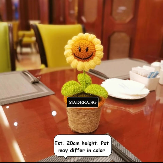 Madera Sg Crochet Sunflower in Pot Smiley B