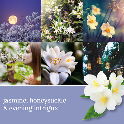 Midnight Jasmine Classic Large Jar Candle 623gms