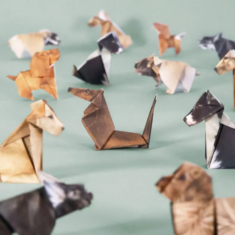 NV Paper Pups Puppy Origami Pack (50s)