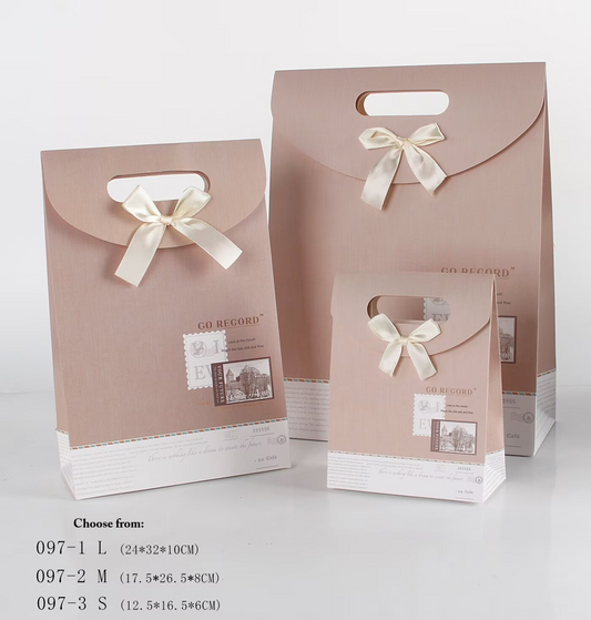 Paper Gift Bag Go Record  LBrw (1 Piece Only)