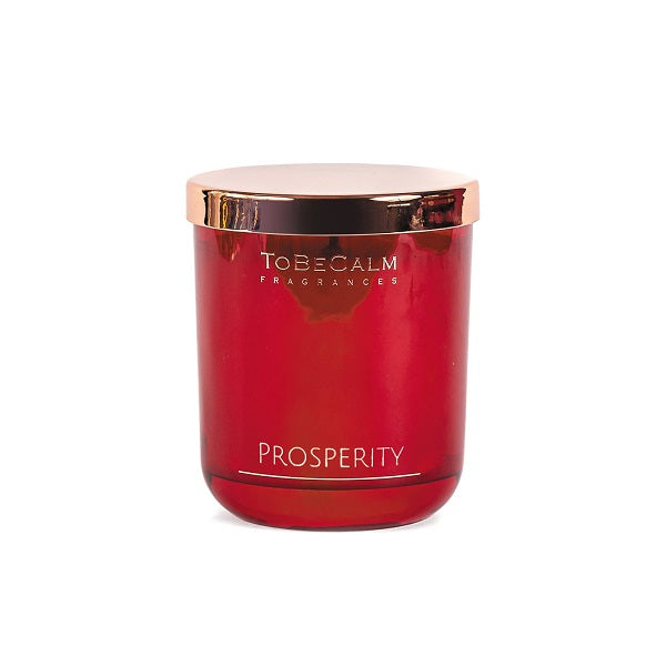 Prosperity - White Peony & Tuberose - Deluxe XL Candle