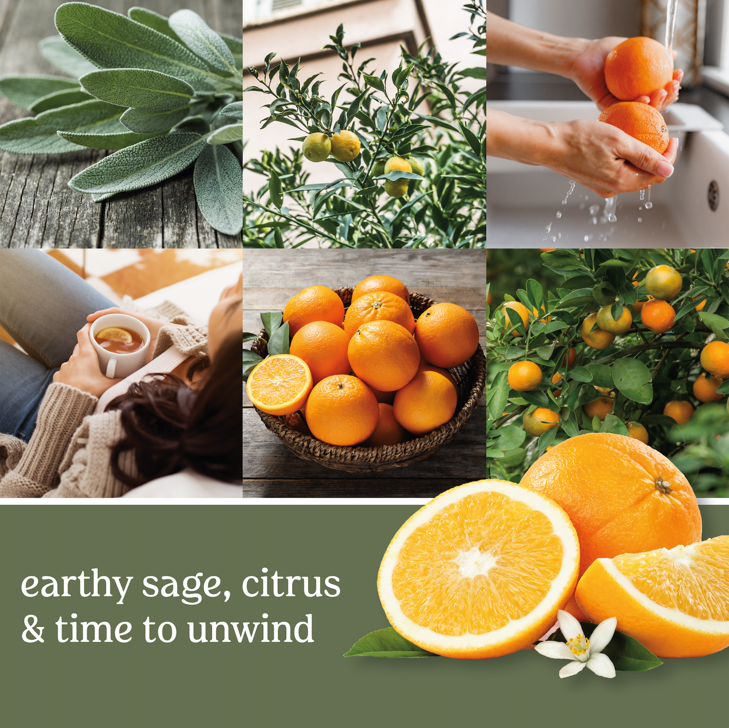 Sage & Citrus Aroma Diffuser Blend