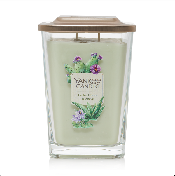 Cactus Flower & Agave Large 2-Wick Square Candle 552gms